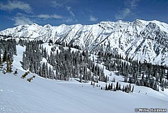 snowbirdbackcountry 391