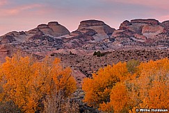 Notom Color Capitol Reef 1031247 7.5x5