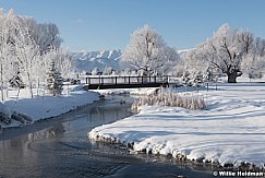 Heber Bridge Frost 021821 2606 3