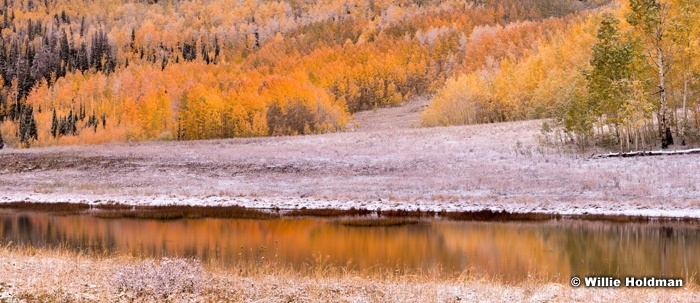 Orange Aspen Snow Dust 093014