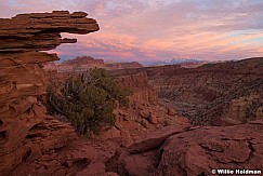 Capitol Reef Sulpher Creek Sunset 123023 1351