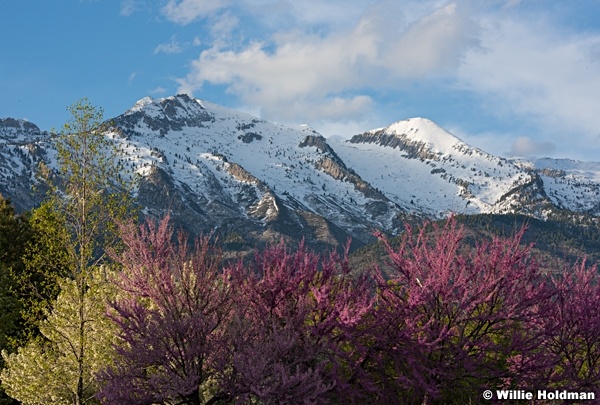 Lone Peak Mountains 042416 1752