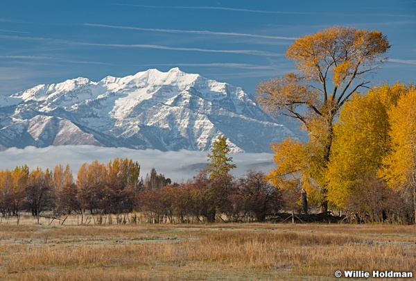 Cascade Cottonwood Autumn 102021 7551 3