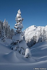 Fresh Snow Grizzly Gulch 111220 1617 6