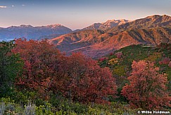 Wasatch Autumn 091514 2