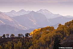 Wasatch Range Aspens 100814 1617 1617