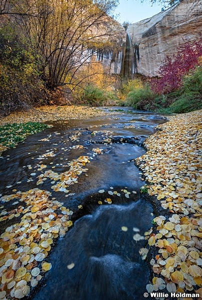 Upper Calf Creek Autumn 103124