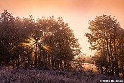 Sunburst Fog Aspens 100513 8251