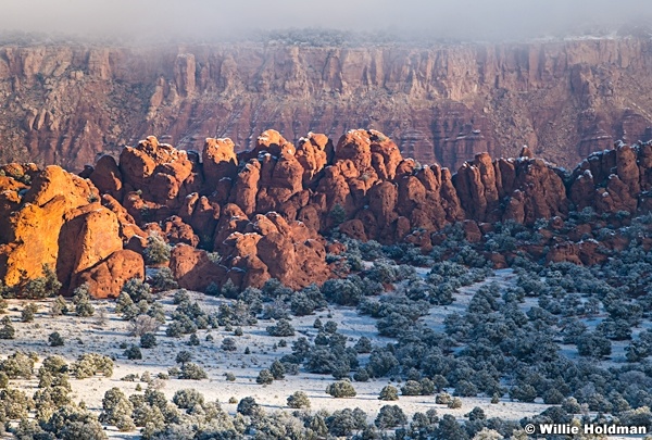 Red Rock Garden Winter 102622 5096