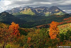 Timpanogos2 maples