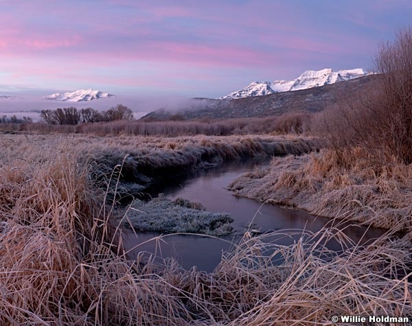 Timpanogosmarsh112311