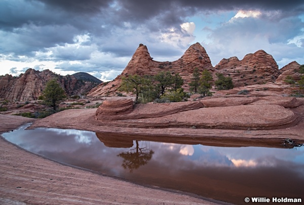 Zion Waterhole Reflection 031520 5150