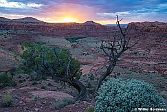 Escalante Sunset 060624 4047