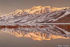 Timpdeercreekrustpan