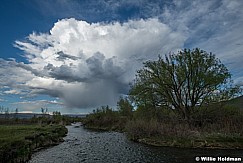 Rain Cloud 051324 9745 2