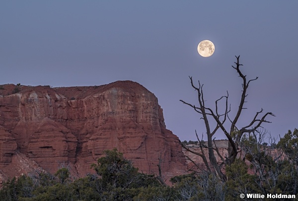 Full Moon Torrey 040820 1920