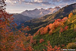 Autumn Color Timpanogos 090814 3 3