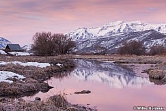 Timpanogos Marsh 030613 308