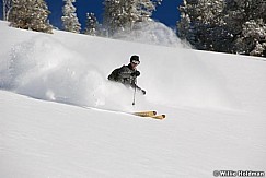 skierpowder22608 052