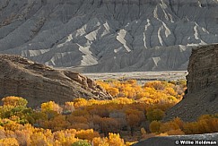 Yellow Cottonwood Badlands 110224