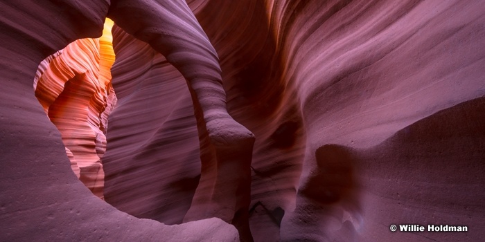 Slot Canyon Mystic 30x60 112817 0177 3