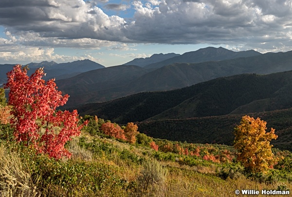 Wasatch State Park Autumn 090216 8215