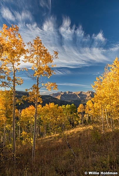 Timpanogos-Yellow-Aspens-092915-4