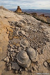 Circular Sandstone Rocks 110623 5488