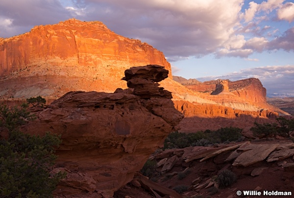 Capital Reef 101313 0833