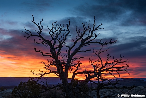 Canyonlands Sunrise 031717 2