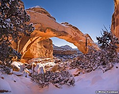 Hickman Bridge CapitolReef 010115