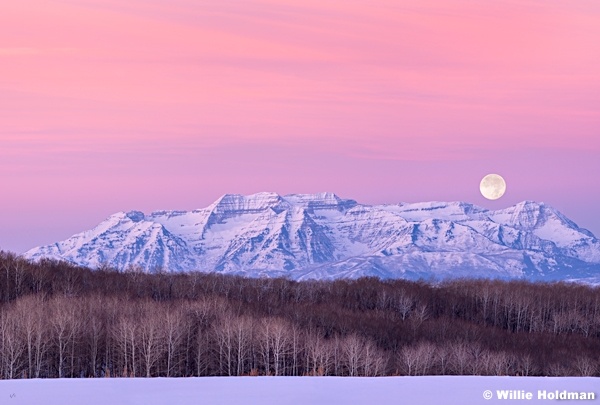 Timpanogos Alpen Glow Moon 011614